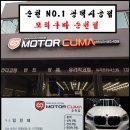 쿠마쿠마 이미지