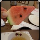 톰슨바닷가재 Daum카페