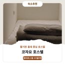 코자요 | 홍대 코자요 호스텔 예약안내 및 이용후기