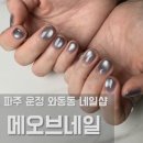 운정호수공원 상가변 | 파주 운정 네일샵 가성비좋은 메오브네일 자석네일