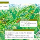오크밸리대중골프장 이미지