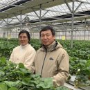 서홍천농협 이미지