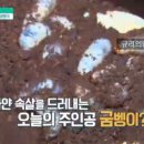 네이처테이너 농업회사법인 주식회사 이미지