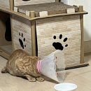 데파트 동물병원 이미지