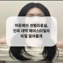 대박미용실 네이버블로그