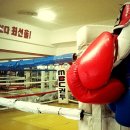 평촌 권투체육관 이미지