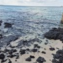 세자매목장 | 제주도 가볼만한 곳 2박 3일 제주 여행 코스 추천 총정리