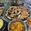 10일다이어트전문샵 이미지