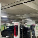 AK플라자 원주점(5층) | 수퍼차저 테슬라 강원도 원주 AK플라자 (feat. 모델 Y RWD 차박 후기)