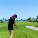 골프홀릭 이미지