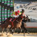 국제신문 이미지