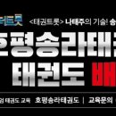 호평송라태권도장 이미지