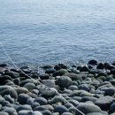 바닷가작은숲 이미지