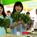 사인2리 이미지