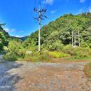 단양군가곡면여천보건진료소 이미지