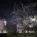 계양맛길 음식문화시범거리 이미지