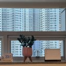 르봄여성의원 이미지