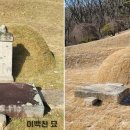 이사영 및 이백찬 묘 이미지