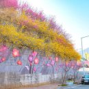 순천삼산중학교 이미지