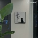 도곡치유동물병원 이미지