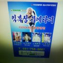 태백체육관 이미지