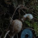 백천농장 이미지