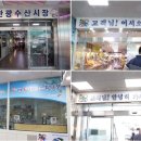 돌고래시장상인회 - 7817 | 돌고래시장상인회