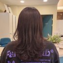 프리마헤어 이미지