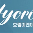 효림이엔아이(주)