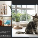 하모나이즈 이미지