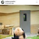 냠냠