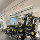 바디스타 짐 | 송파피티 골드스타짐PT 방문후기