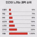 정원꼬리곰탕