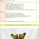 몽땅땅 Daum카페