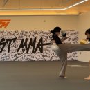 파이어피스트 MMA 이미지