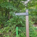 더불어숲 이미지