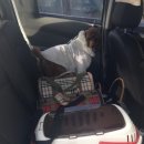 유앤동물병원 이미지