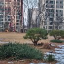 운정드림공인중개사사무소 이미지