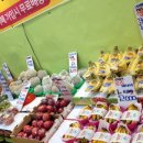 당충전소과일