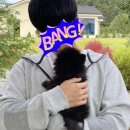 진상보건지소 이미지