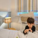 모텔판도라 | 호주 브리즈번 근교 한인병원 방문기, 호주 판도라 구매