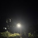 이마트24 장생포점 이미지