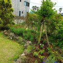 협재 정담 렌트하우스 이미지