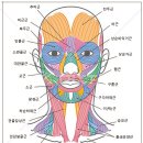 손경린 스킨케어