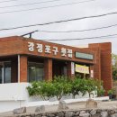 제주 산방산 맛집 강정포구횟집 참돔세트 자리물회 정복 후기