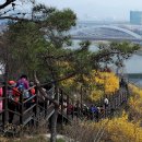 응봉개나리어린이공원 이미지