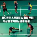 배드민턴 이미지