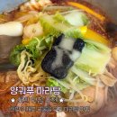 뉴진해장 | 평택역 마라탕｜시드니에서 먹어본 양궈푸마라탕 한국에서 방문 후기! 20여종의 한약재 국물