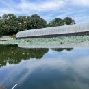 양석낚시터 이미지