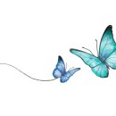 커플홈스튜디오 이미지